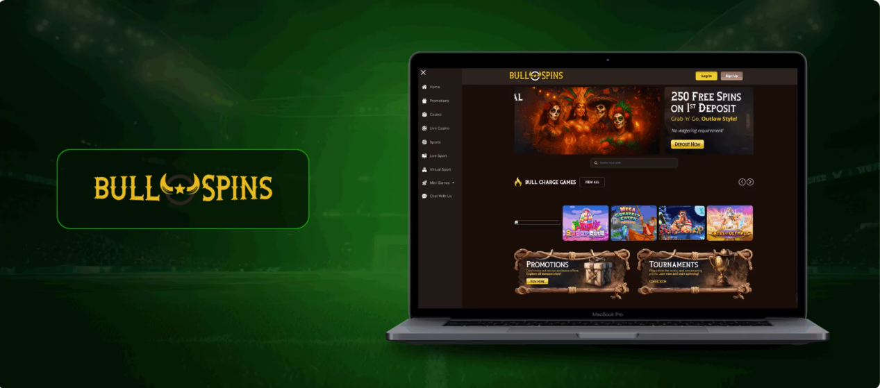 Bull Spins Casino Banner